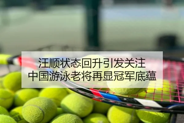 汪顺状态回升引发关注 中国游泳老将再显冠军底蕴